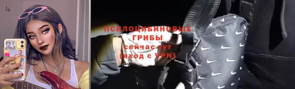МДПВ Краснослободск