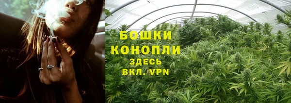 МДПВ Краснослободск
