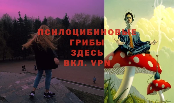 стаф Красноперекопск