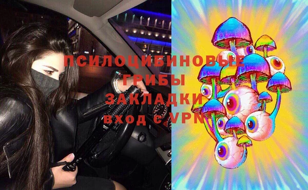 МДПВ Краснослободск