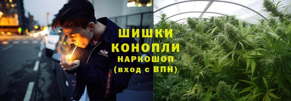 МДПВ Краснослободск